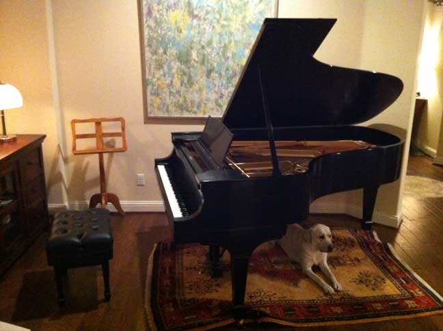 Steinway piano at home